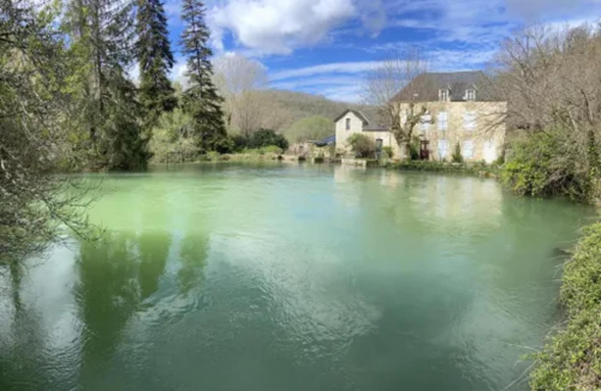 Domaine La Noyeraie Perigord Noir Vila Paulin Exterior foto